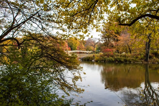 Autumn in the Central Park, New York, United States, view to the bridge.