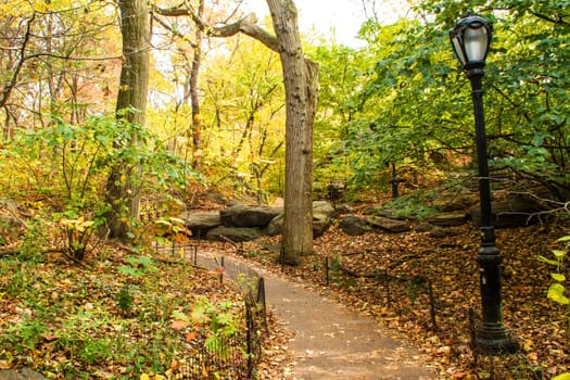 A footpath in the Central Park , New York, United States.
