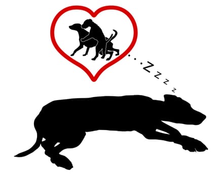 Dog dreams