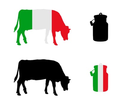 Italian dairy cow