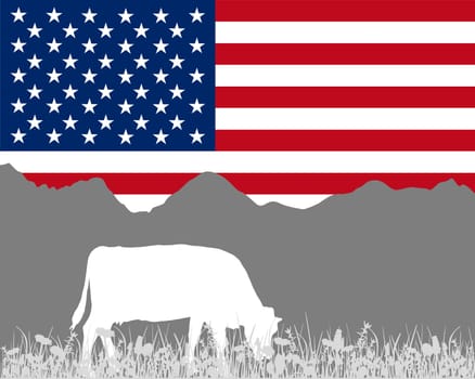 Cow Alm and USA Flag