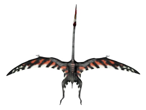 Computer-generated 3D illustration with the flying dinosaur Quetzalcoatlus isolated on the background