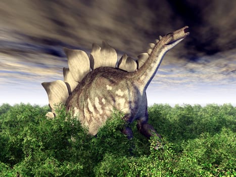 Computer-generated 3D illustration with the dinosaur Stegosaurus