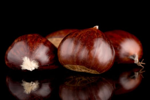 Closeup of chestnuts on a black reflective background.