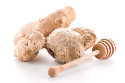 Ginger root and drizzler isolated on white background.