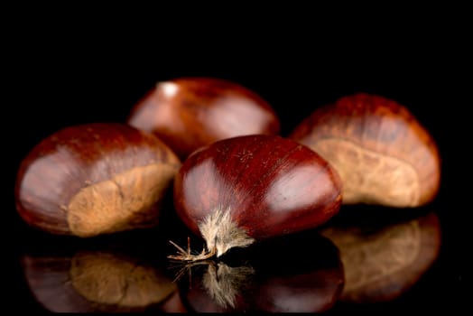 Closeup of chestnuts on a black reflective background.