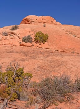 Sandstone Peak in Red Rock Country in Canyonlands National Park