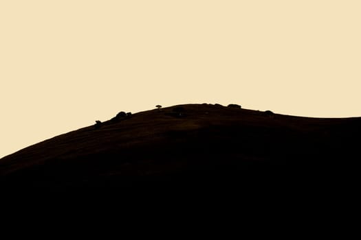 The silhouette and coloring of the grass-covered hills near Carmel in Southern California with small gnarled and round trees.