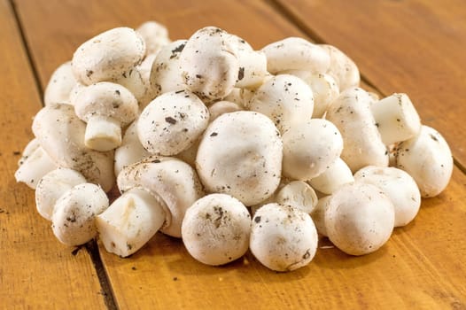 bunch of mushrooms on a wooden table closeup