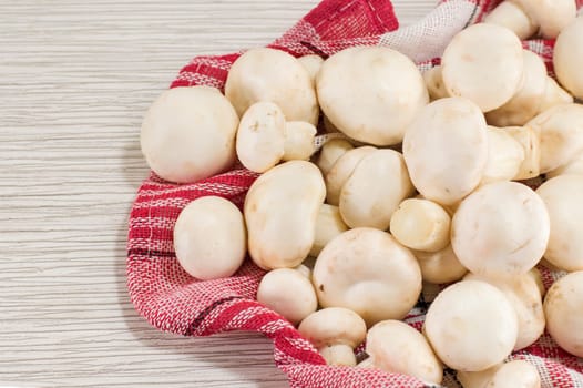 bunch of mushrooms on a red plate closeup