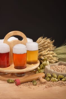 Beer carriers and beer glasses with wheat,barley,hops and malt