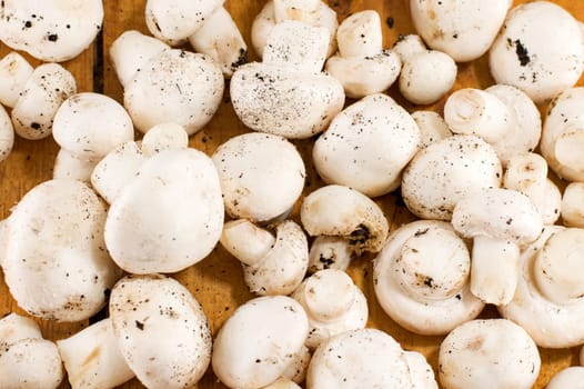 bunch of mushrooms on a wooden table closeup