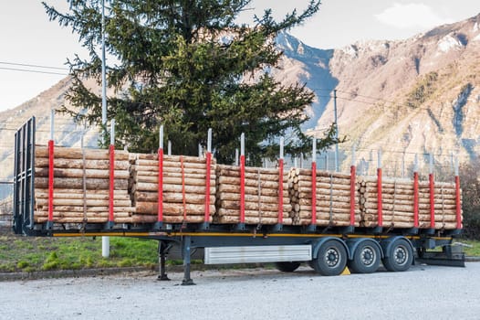Forest industry. Trailer loaded with tree trunks.