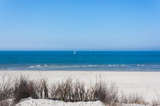 An endless sandy beach and a lonely surfer in the blue sea