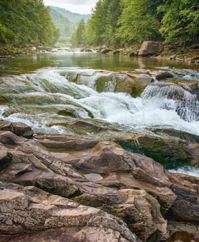 Fast river in a mountain forest on a sunny day