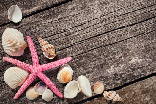 Sea shells collection on old wooden background. space for text