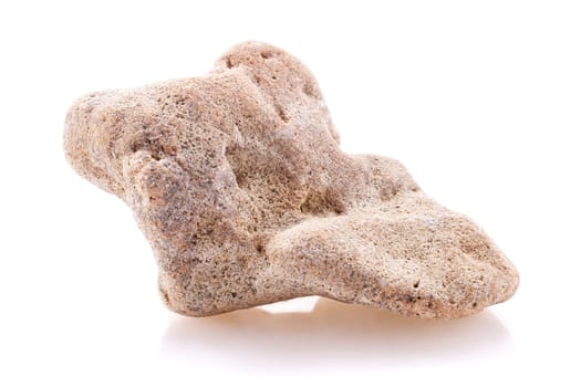 sea Stone isolated on a white background