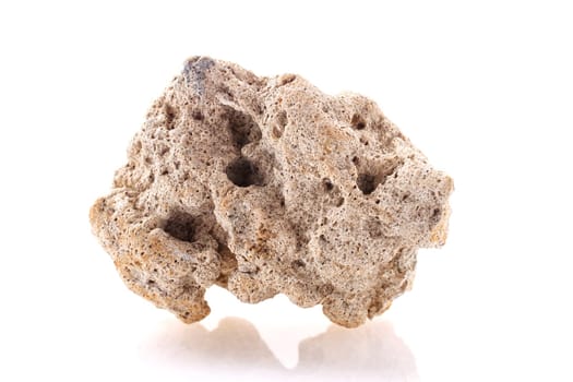 sea Stone isolated on a white background