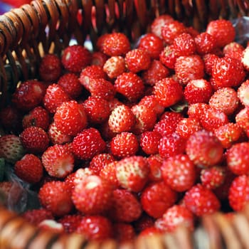 Fresh ripe wild strawberries in a basket on a wooden table
