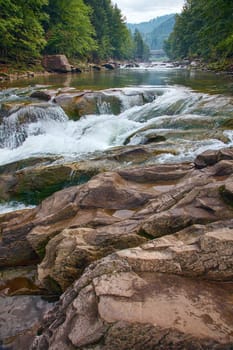 Fast river in a mountain forest on a sunny day
