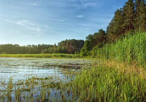 summer landscape with lake and blue sky