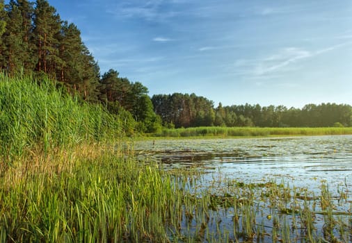 summer landscape with lake and blue sky