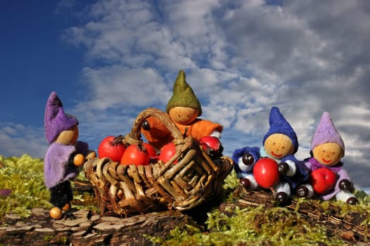 Four little gnomes collect red berries