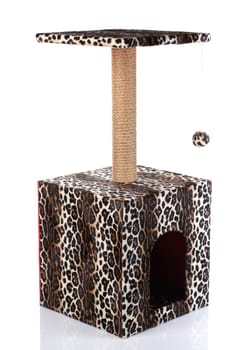 Cat scratching post  isolated on  white  background