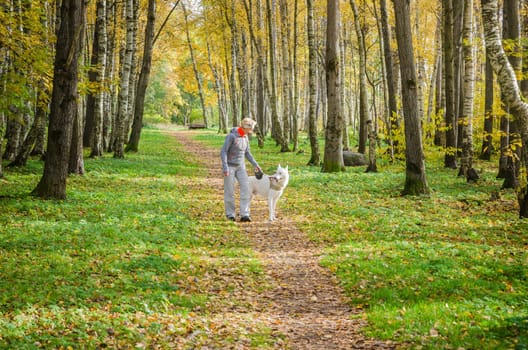 Woman with dog walking in the birch alley, sunny autumn day