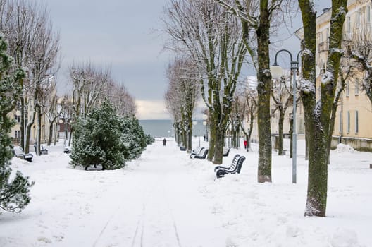 Alley in the park of the city of Sillamae in winter