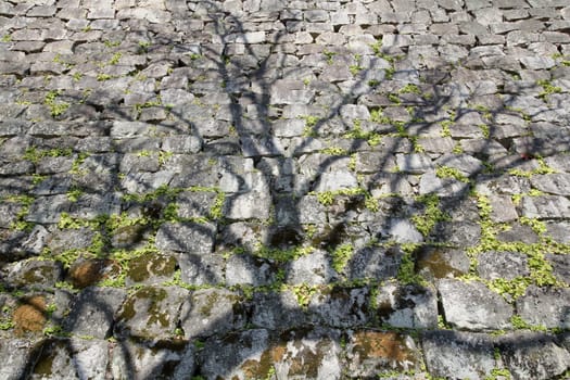 shadow of tree on weathered stone wall, japanese castle
