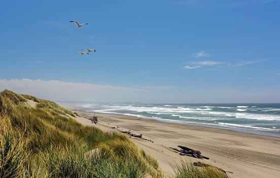 Bullards Beach on a Summer Day near Bandon, Oregon