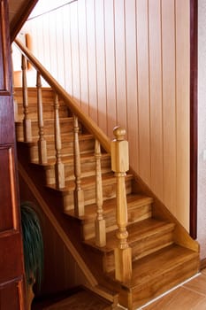 Wooden and elegant steps in modern storey house