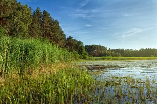summer landscape with lake and blue sky