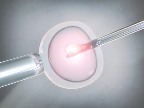 Planting an egg cell
