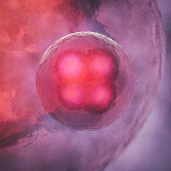 Cell division of human cells in close-up