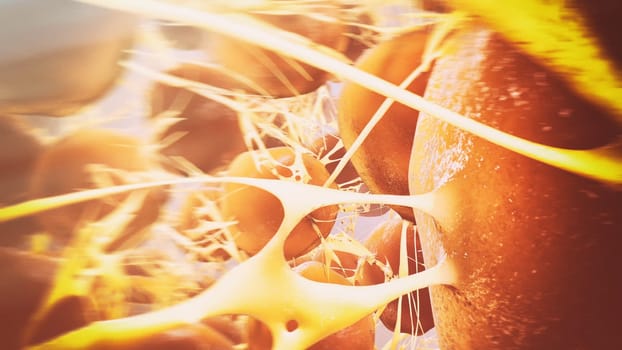 anatomical close-up of human brain cells