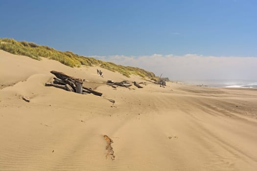 Sandy Beach on a Summer Day in Bullards Beach State Park in Oregon