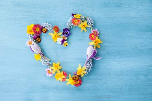 Fresh spring flowers in heart shape on a blue background