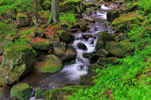 Ilse waterfall in the Harz - waterfall river Ilse in Harz Mountains