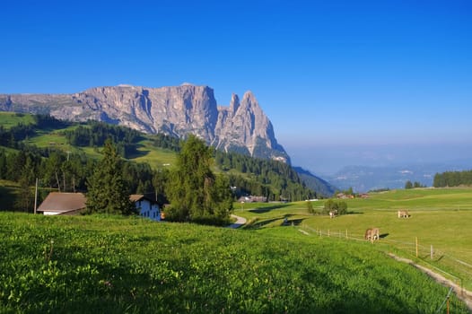 the mountain Schlern in South Tyrol,Italian Dolomites - mountain Schlern in Alto Adige,italian Dolomites