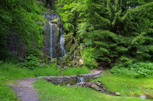 Koenigshuetter Waterfall in the Harz - Koenigshuetter Waterfall in Harz Mountains