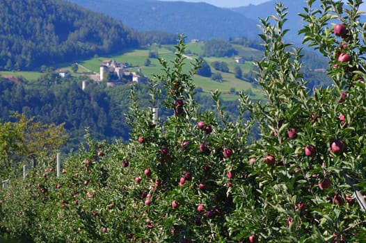 Proesel's Castle in the Dolomites - Proesels castle in italian Dolomites