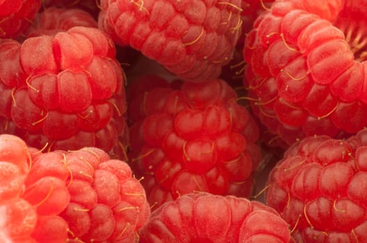 beautiful details of raspberry in studio