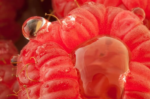 beautiful details of raspberry in studio