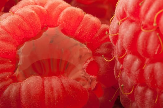 beautiful details of raspberry in studio