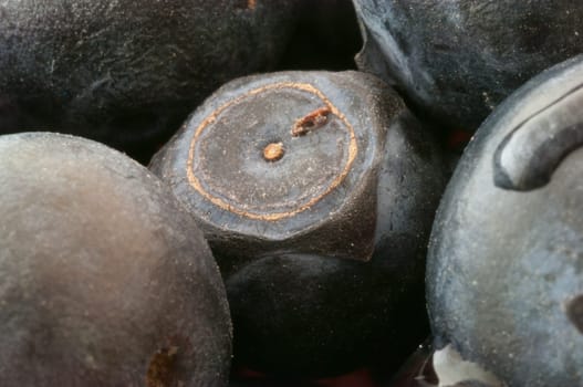 beautiful details of blueberry in studio