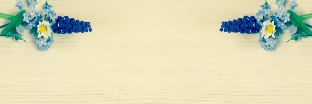 Wooden background with flower,grape hyacinth and daisies - Panorama