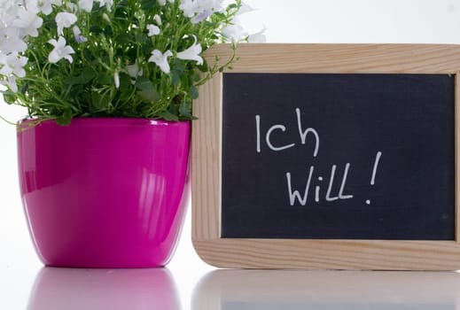 A pink planter with a flower hanging on the little baby bump,next to it stands a slate board