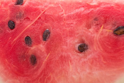 Fresh Sliced Watermelon - Vivid Red